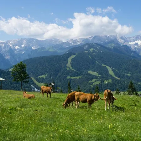 Ferienhaus Hofer - Fewo Alpspitze - #113020